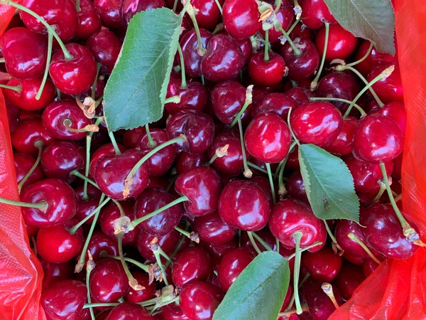 WeChat Image_20190512163854.jpg